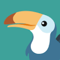 Toucan by Babbel